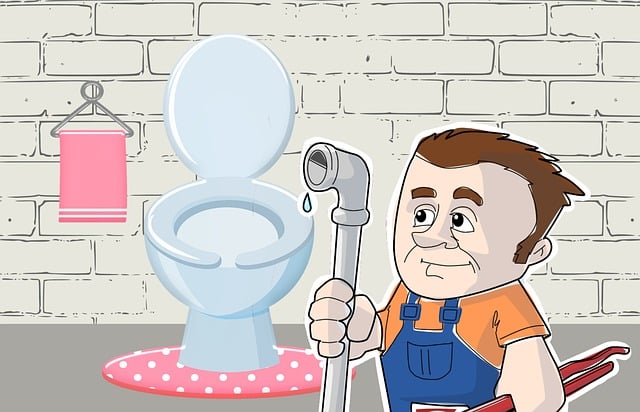 marlborough plumber