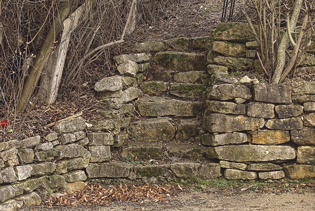 paver stone contractors