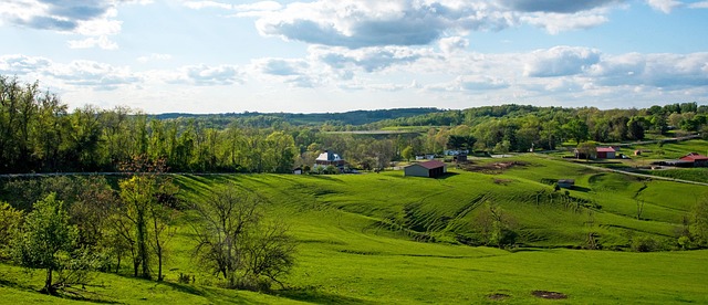 pennsylvania seo services
