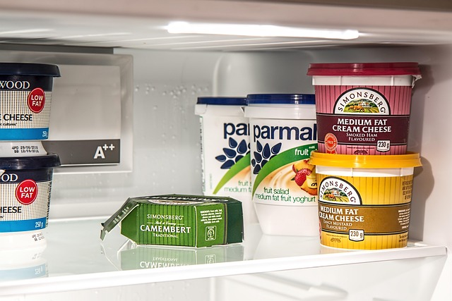 refrigerator water line