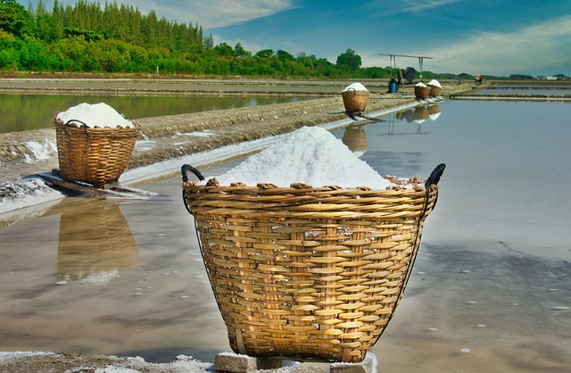 salt free water softener