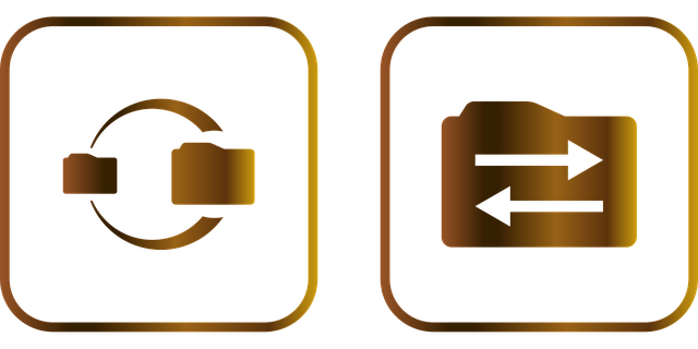 sewer backup