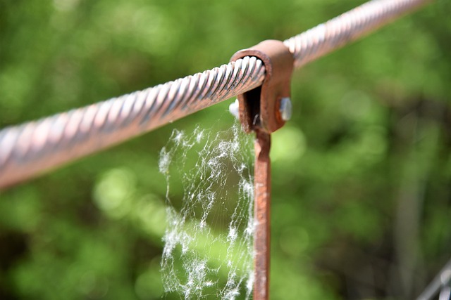 sewer backup emergency