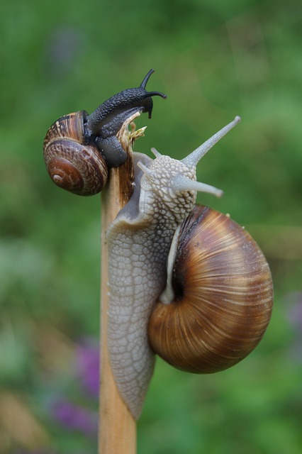 slow drain