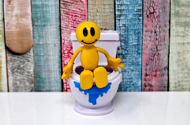 toilet maintenance