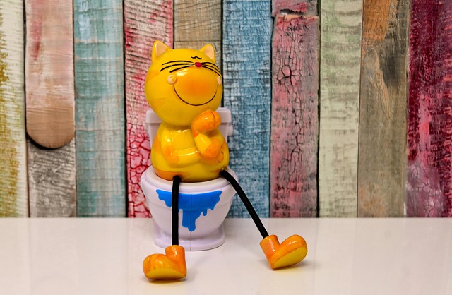 toilet replacement