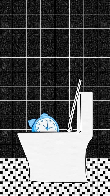 toilet replacement