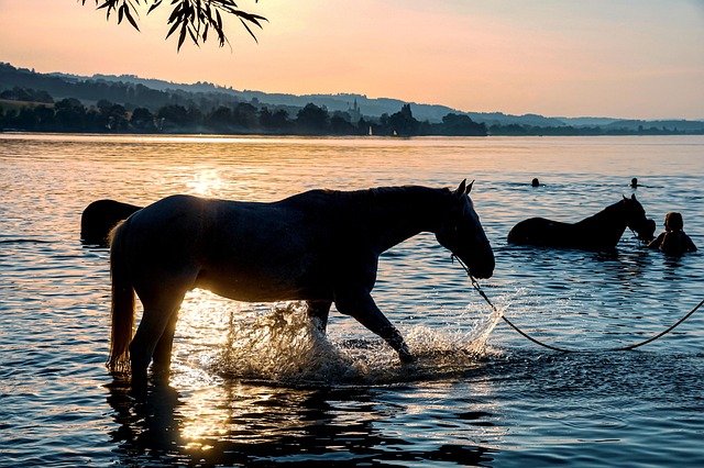 water conditioning