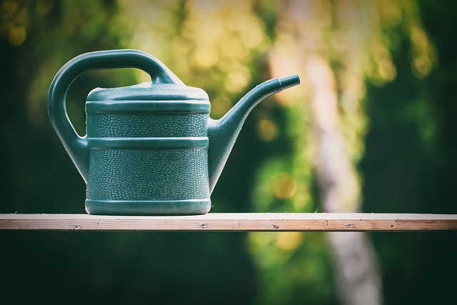 water softener maintenance