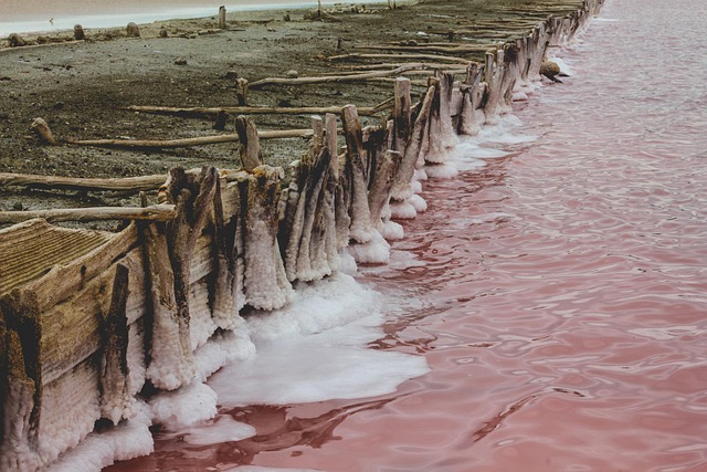 water softener salt