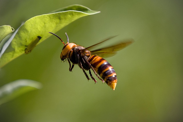 catch basin cleaning