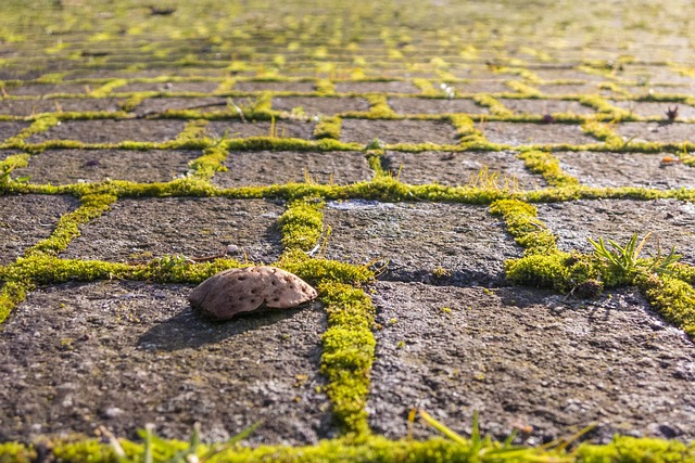 concrete paving