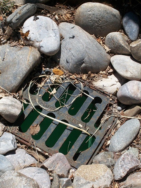 drain augering