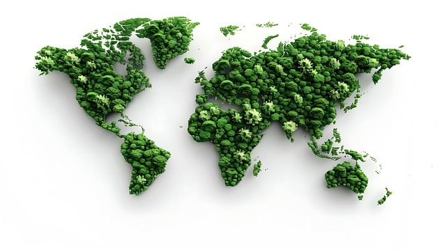 eco friendly drain cleaning