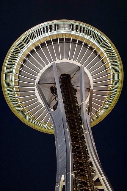 plumber seattle