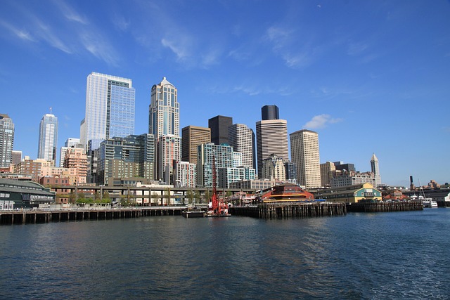 seattle drain cleaning
