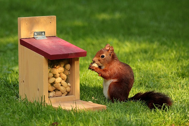 squirrel hill plumbing