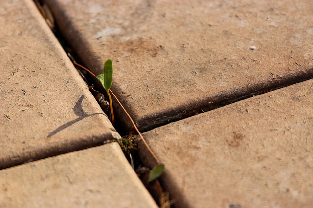 warehouse paving
