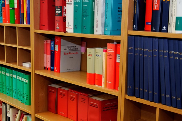 custody attorney services