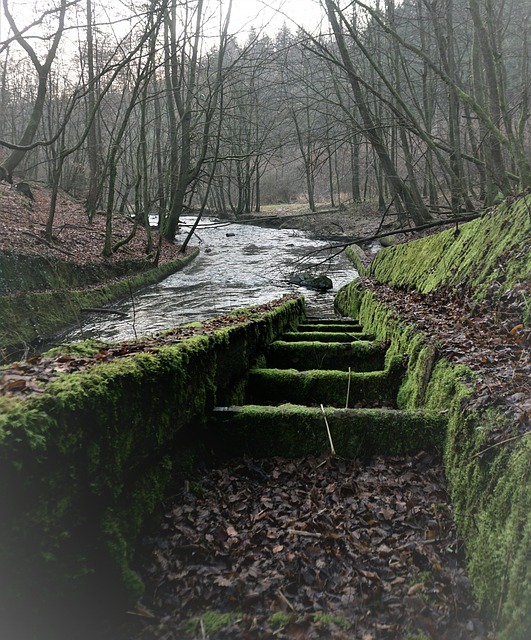 drain overflow