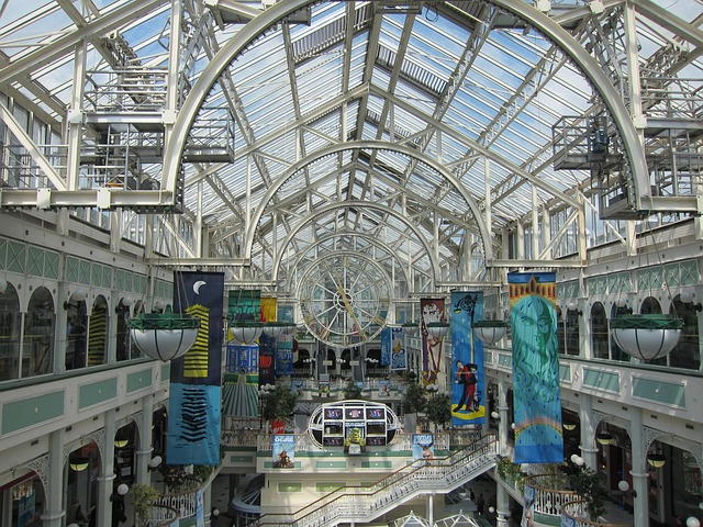 google ads management