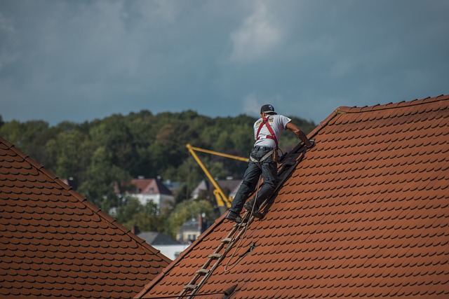 Houston Roof Repair: Quick, Efficient Wind Damage Restoration by Local Experts