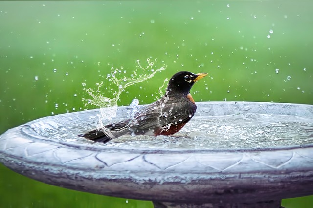 bath seo services