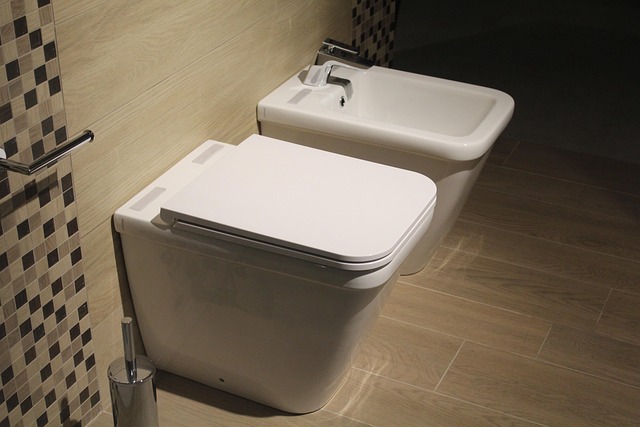 bidet installation