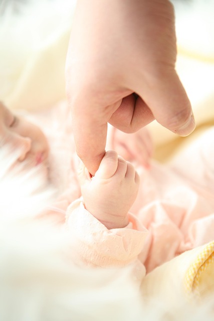 child custody law firm