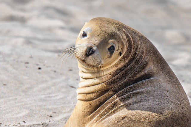 chip-seal-paving-640x480-79282724.jpeg