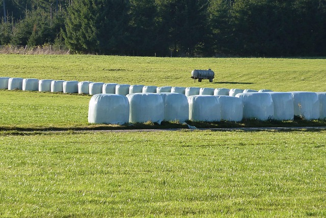 continuous-feed-disposal-640x480-28515224.jpeg