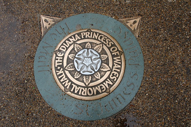 drain snaking