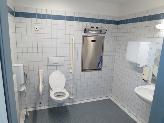 elongated toilet
