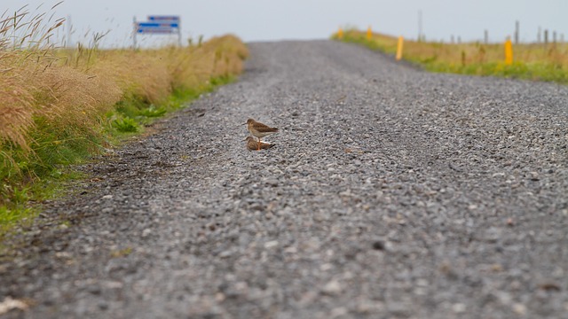 gravel driveway contractors