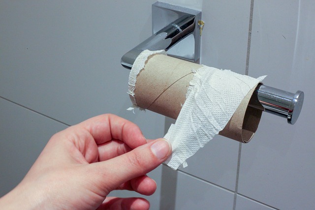 kohler toilet