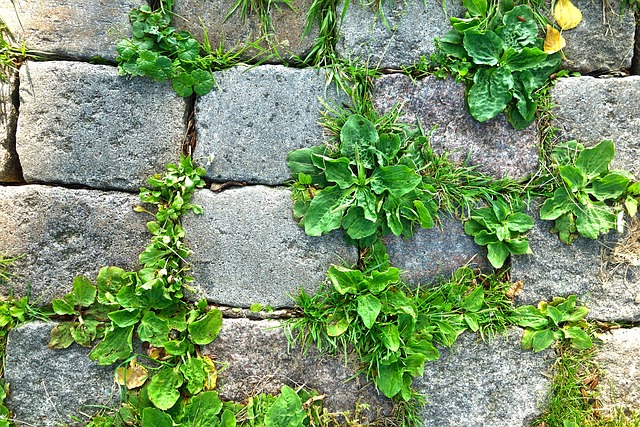 natural stone paving
