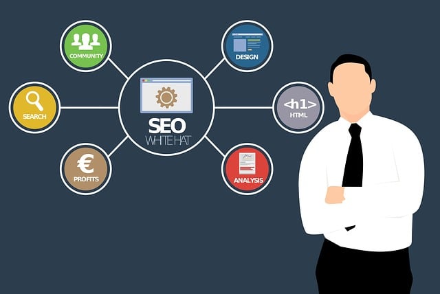 seo optimization services