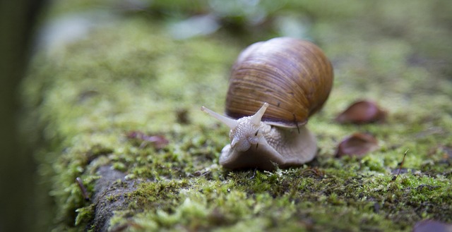 slow-drain-640x480-40725459.jpeg