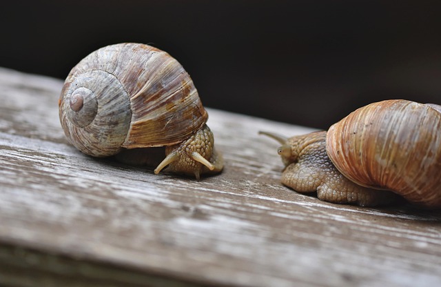 slow-drain-640x480-47357924.jpeg