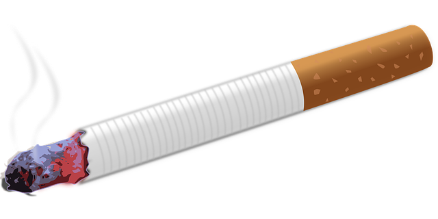 tar-and-chip-specialists-640x480-6215462.png