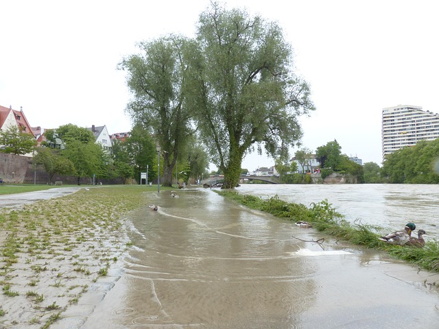 water-damage-prevention-640x480-36291991.jpeg