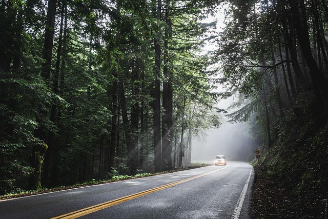 asphalt contractors