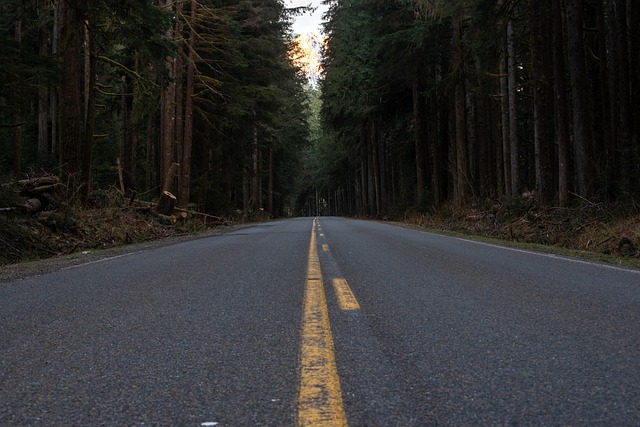 asphalt-specialists-640x480-62109415.jpeg