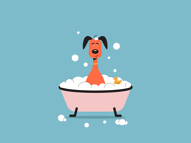 bath seo services