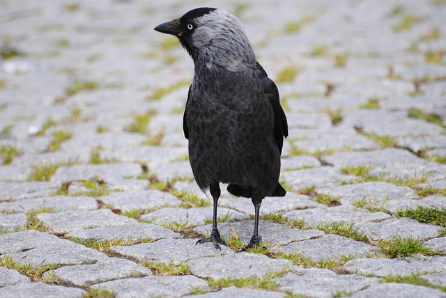 bonded paving contractors