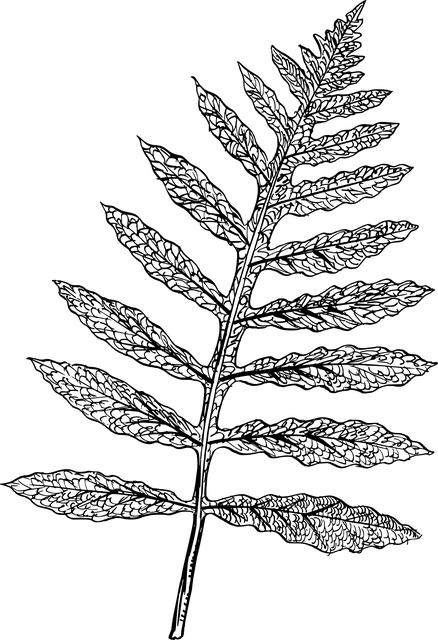 branch-line-repair-640x480-51224723.png