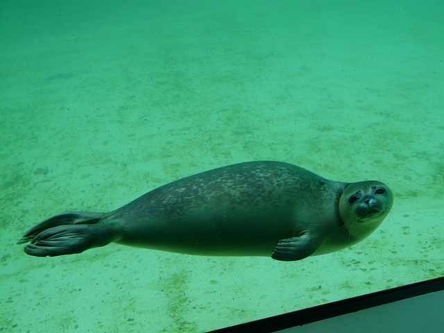chip-seal-paving-640x480-79798453.jpeg