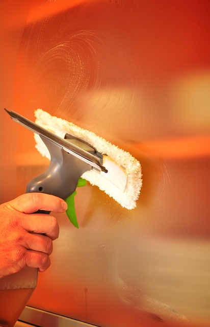 citation building services