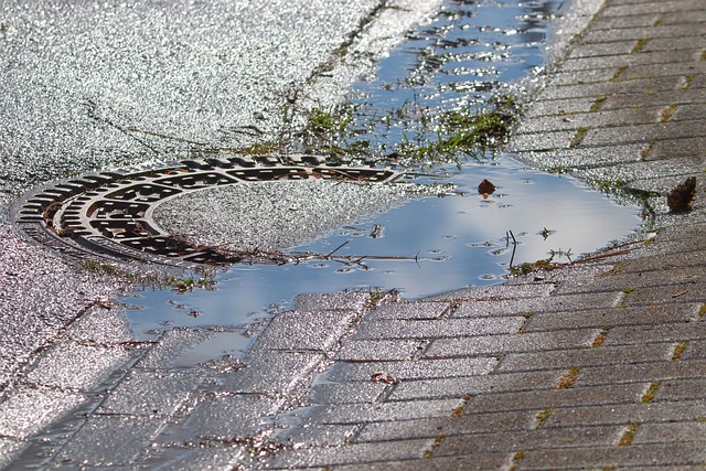 clogged drain