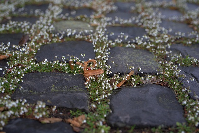 cobblestone-paving-640x480-88523901.jpeg